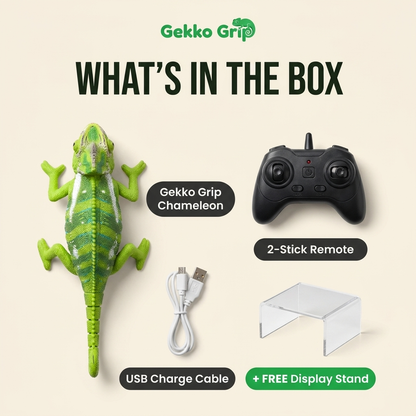 What's in the box